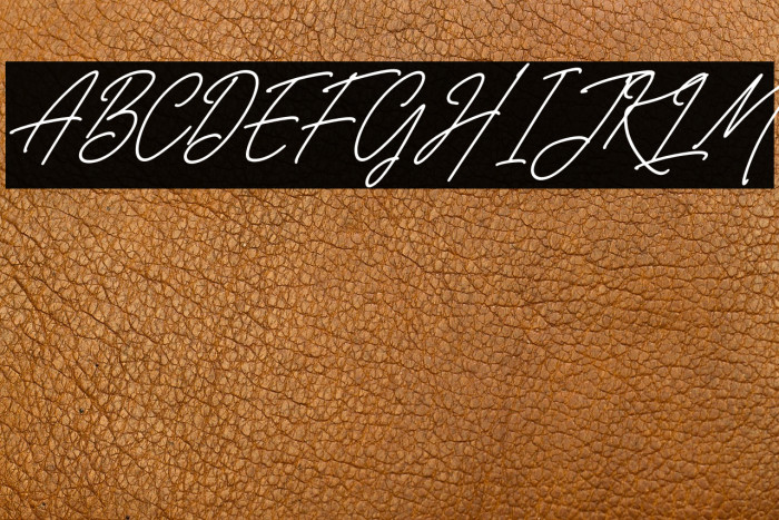 Belistaria Signature Italic Example 2