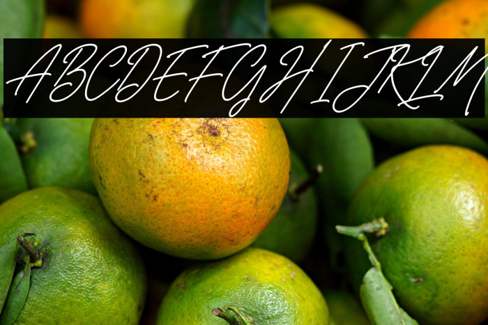 Belistaria Signature Italic Example 3