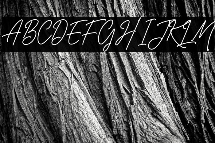 Belistaria Signature Example 1