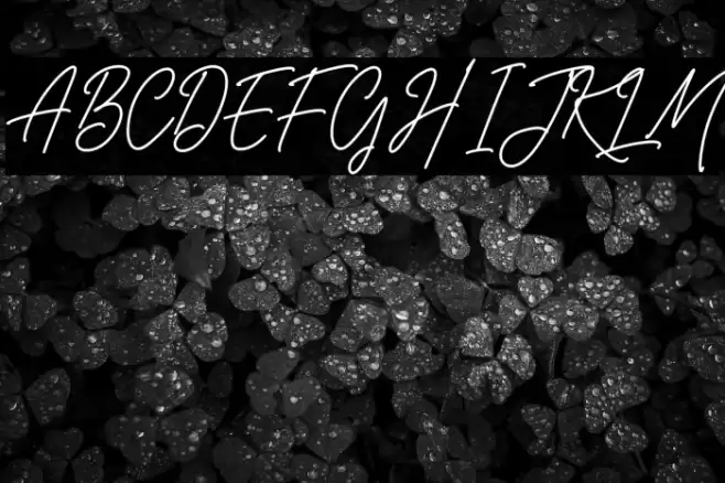 Belistaria Signature Font examples