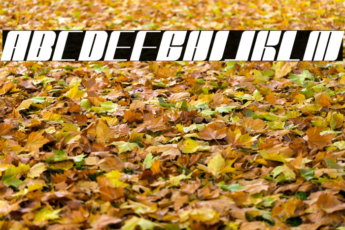 Belitang Font examples