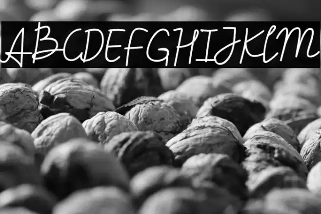 Beliya Signature Font examples