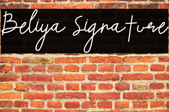 Beliya Signature Example 2