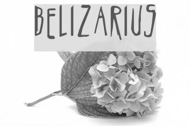 Belizarius Font examples