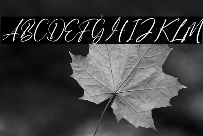 Belizka फ़ॉन्ट examples