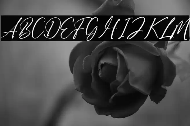 Belizka फ़ॉन्ट examples