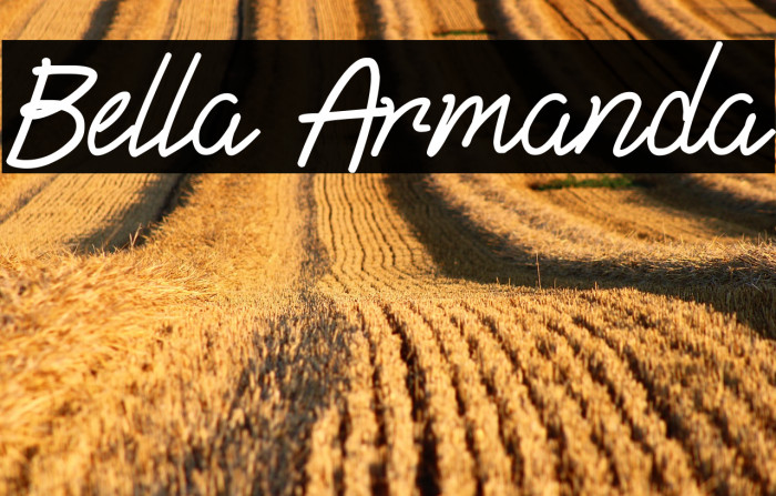 Bella Armanda Example 2