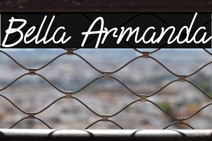 Bella Armanda Example 3