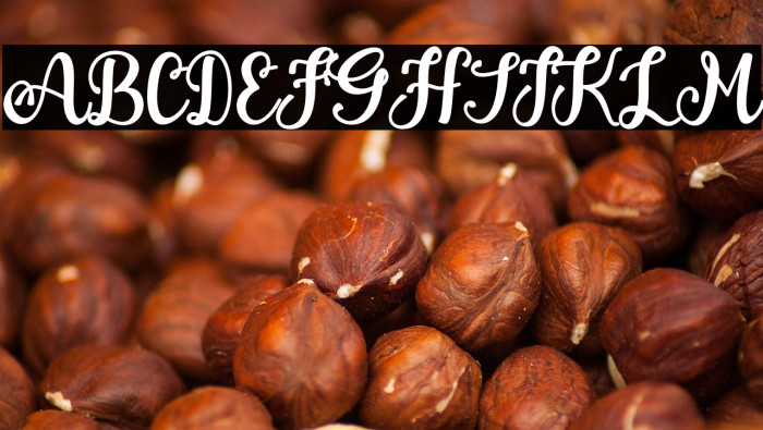 Bella Bangsa Example 3