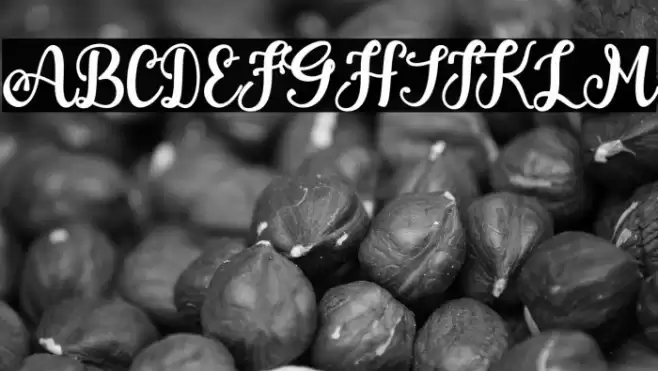 Bella Bangsa Font examples