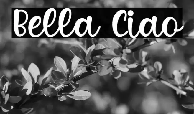 Bella Ciao Font examples