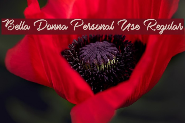 Bella Donna Personal Use Regular Example 2