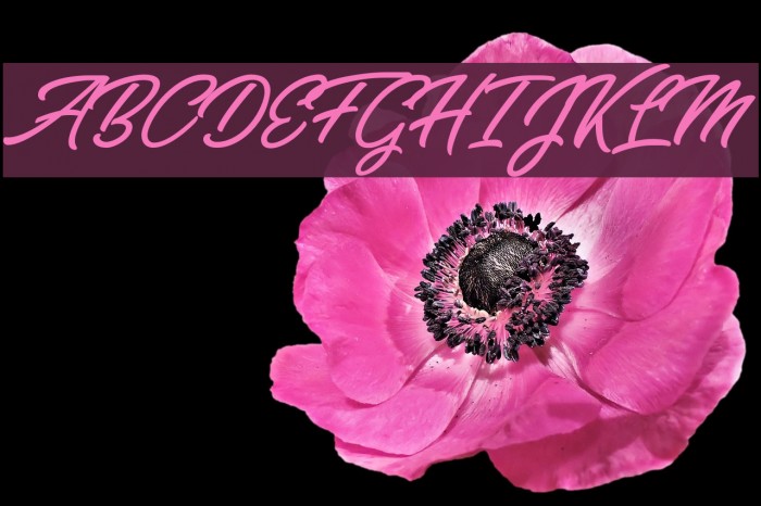 Bella Fashion Personal Use Font examples