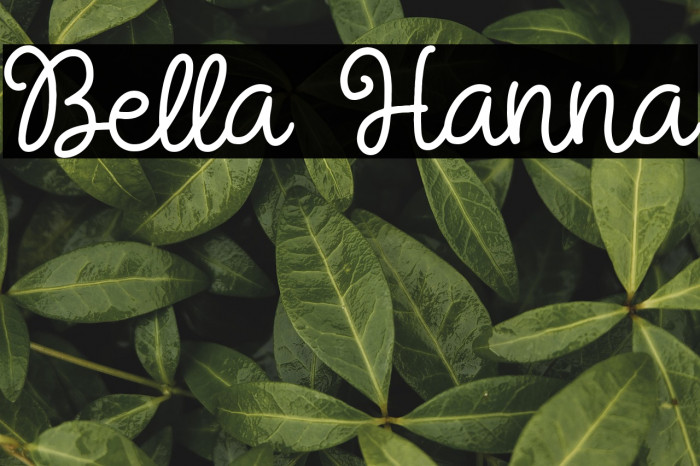 Bella Hanna Example 2