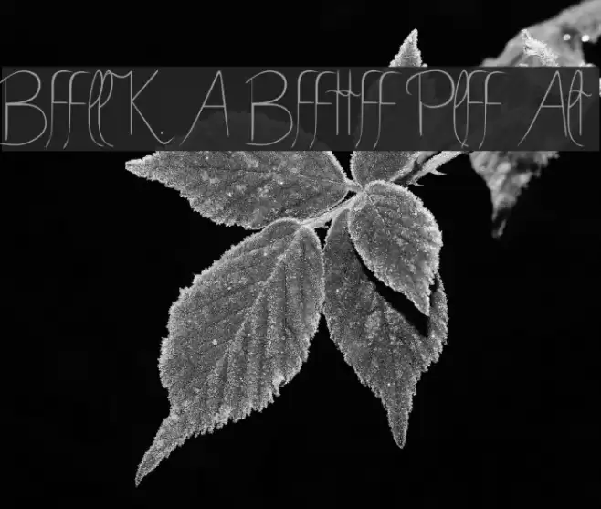 Bella K. A Better Place Alts Font examples