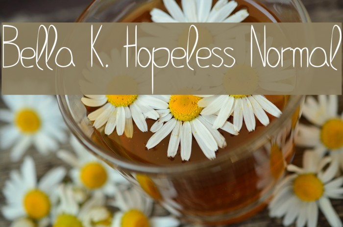 Bella K. Hopeless Normal Font examples