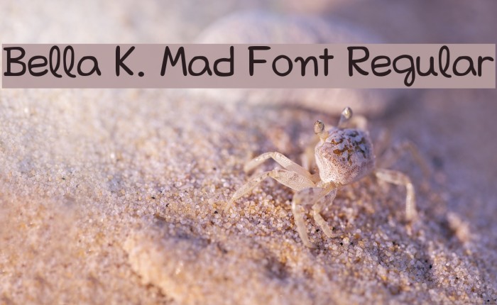 Bella K. Mad Font Regular Font examples