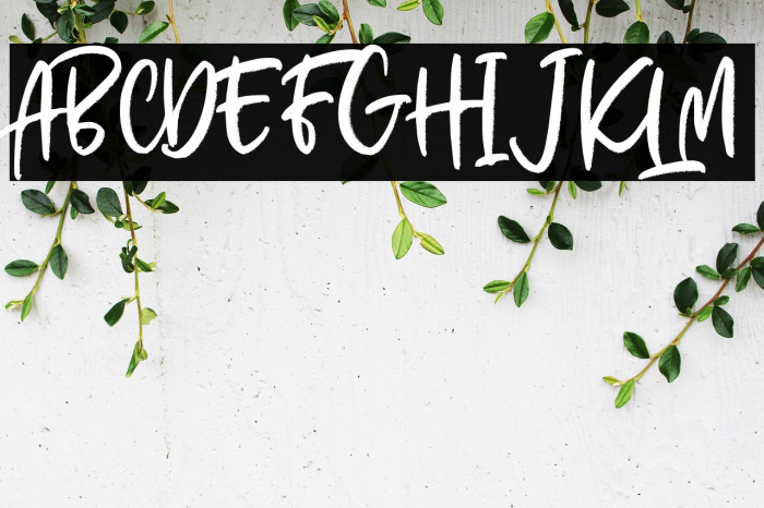 Bella Millies Personal Use Reg Example 1