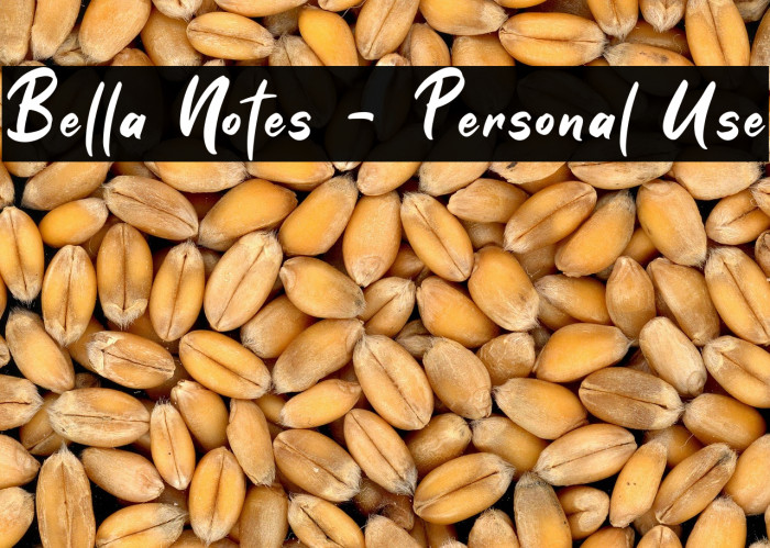 Bella Notes - Personal Use Example 1