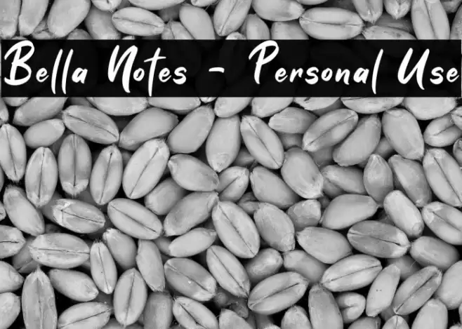 Bella Notes - Personal Use Font examples