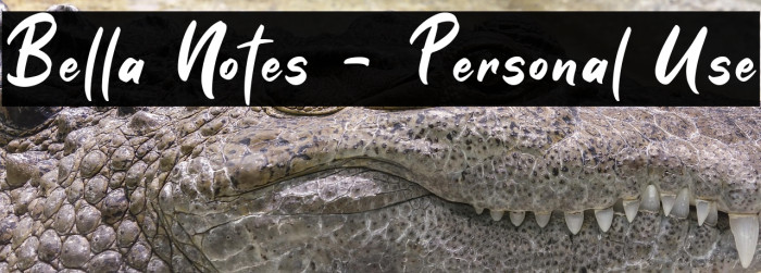 Bella Notes - Personal Use Example 3