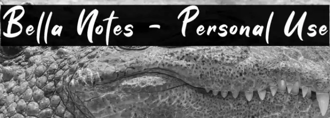 Bella Notes - Personal Use Font examples