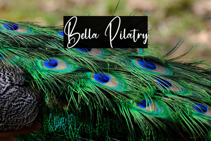 Bella Pilatry Example 2