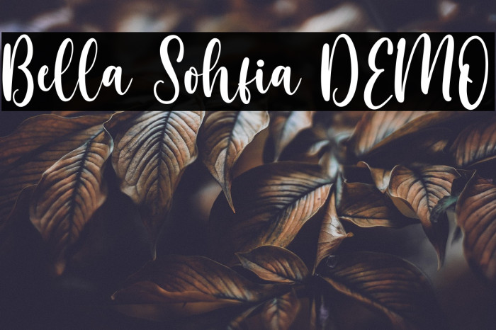 Bella Sohfia DEMO Example 1