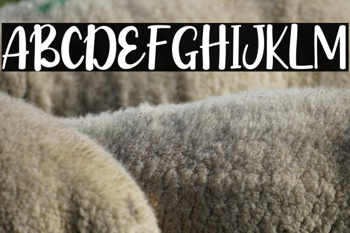 Bella Years Example 1