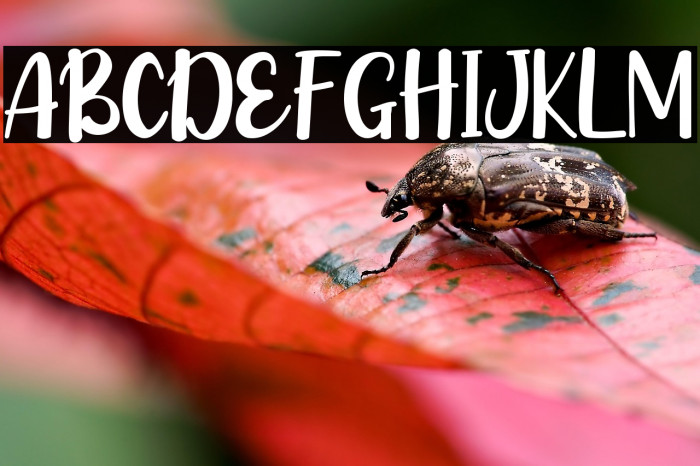 Bella Years Example 3