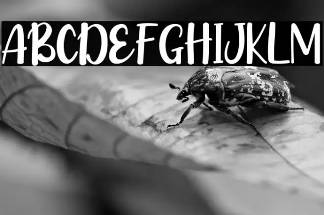 Bella Years Caratteri examples