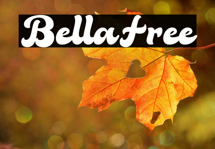 BellaFree Example 1