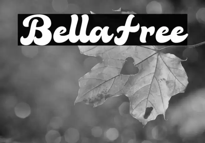 BellaFree Font examples