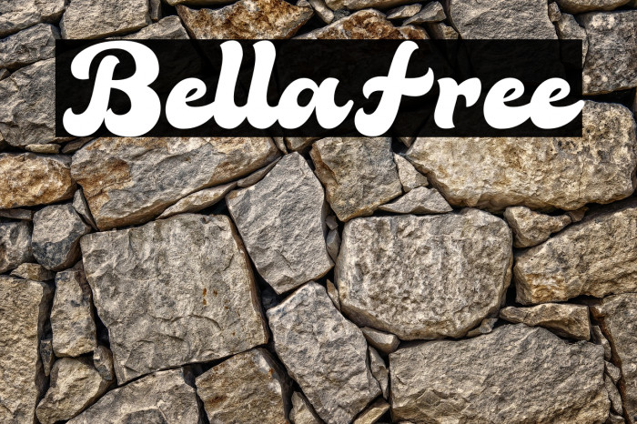 BellaFree Example 2