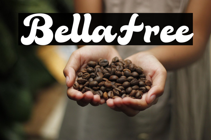 BellaFree Example 3
