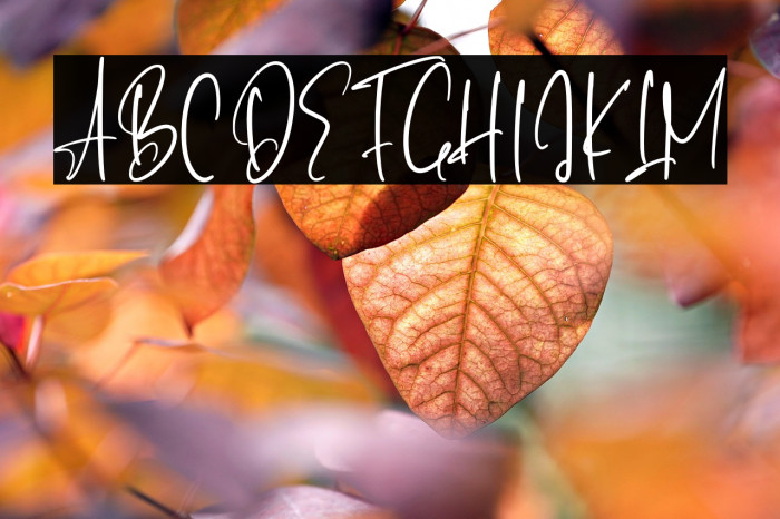 BellaPilatry-Regular Example 1