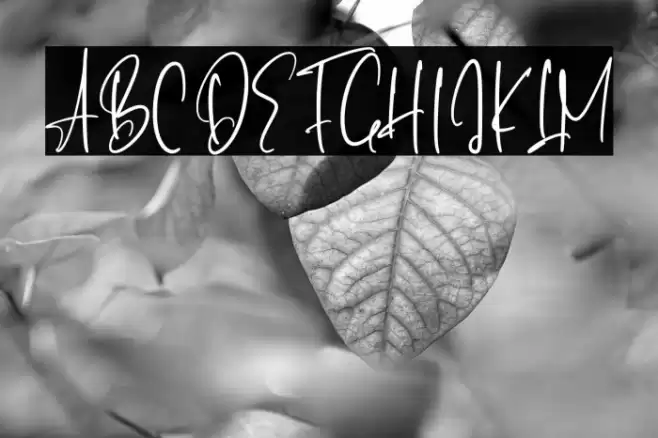 BellaPilatry-Regular Font examples