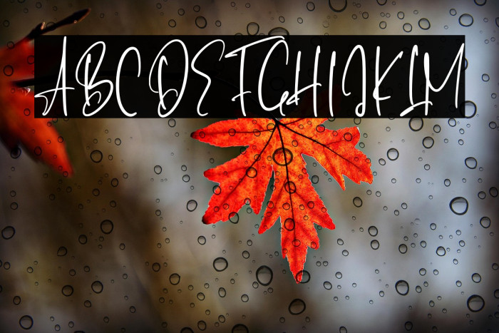 BellaPilatry-Regular Example 3