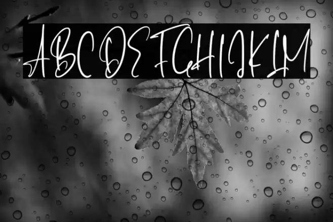 BellaPilatry-Regular Font examples