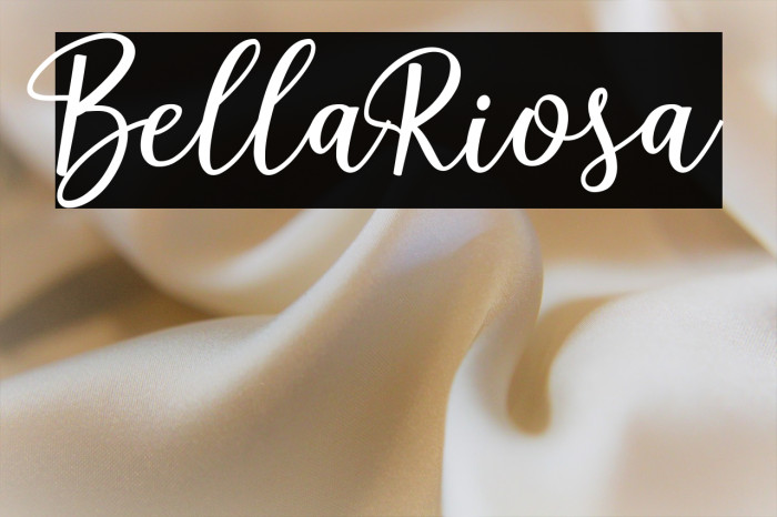 BellaRiosa Example 2