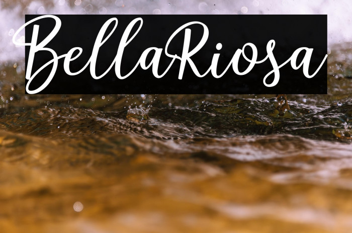 BellaRiosa Example 3