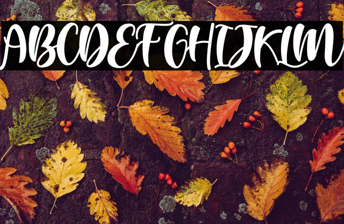 BellaSafira Example 3