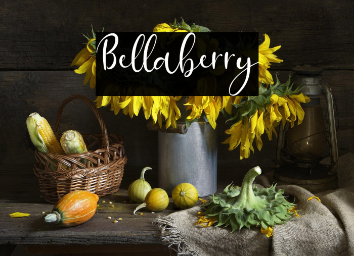 Bellaberry Example 1