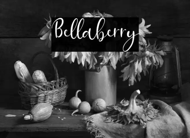 Bellaberry Font examples