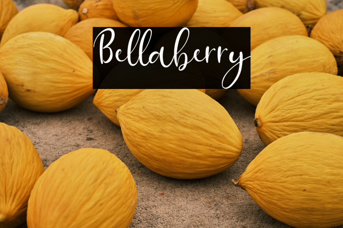 Bellaberry Example 2
