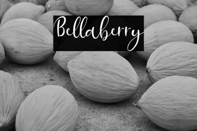 Bellaberry Font examples