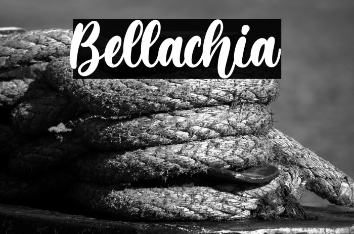 Bellachia Example 2