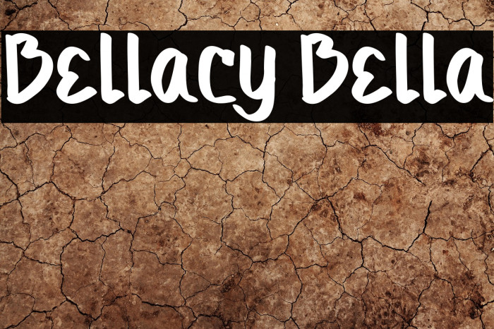 Bellacy Bella Example 3