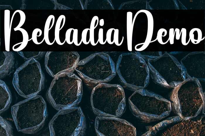 Belladia-Demo Example 1
