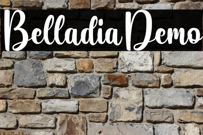 Belladia-Demo Example 3
